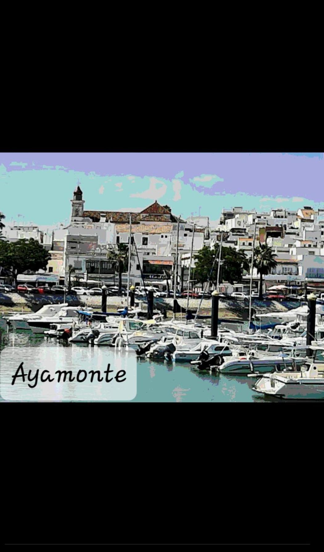 Castillo Del Guadiana Apartment อายามอนเต ภายนอก รูปภาพ